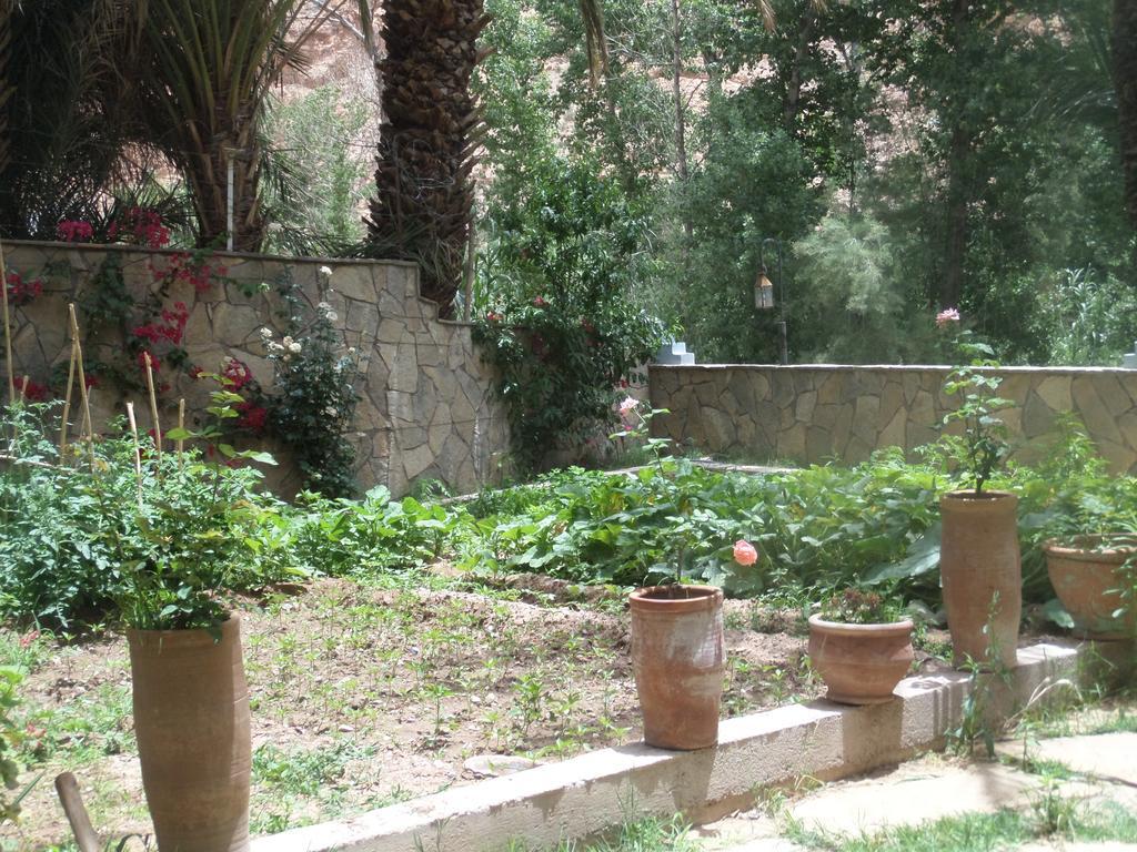 Bed and Breakfast Kasbah Restaurant Amazir Tinghir Esterno foto